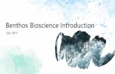 Benthos Bioscience Introduction - ciatt.mxciatt.mx/resources/ep/Delia Simental.pdf · Through cutting-edge scientific innovations Benthos harvests from unaltered marine ecosystems