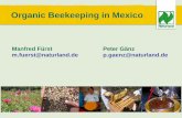 Organic Beekeeping in Mexico - FiBL -Startseite · Organic Beekeeping in Mexico ... Chloramphenicol, Sulfonamid, Nitrofuran, Tetramycin, Varroacides: Fluvalinat (Apistan), Flumetrin