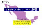 TPPのメキシコへの影響‚«テゴリーの「EIF」は即時撤廃を意味する。TPPの関税メリットがある品目に黄色の網掛けを施した。 （出所）TPPの各国譲許表より作成