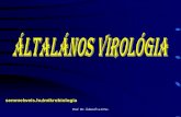 semmelweis.hu/mikrobiologiasemmelweis.hu/mikrobiologia/files/2014/11/FOK_10.pdf · 2015-03-12 · T4 farkos fág Fej Kontraktilis farok Nyak Tüskék Nyúlványok Görög: phagein