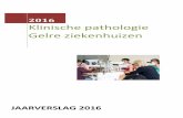 2016 Klinische pathologie Gelre ziekenhuizen · Paris System for Reporting Urinary Cytology, Rosenthal et al, 9783319228631\ Genitourinary Pathology, 9870323188272 WHO Classification