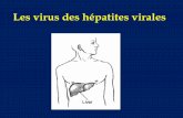 Les virus des hépatites virales - التعليم الجامعيuniv.ency-education.com/uploads/1/3/1/0/13102001/infect...HBeAg anti-HBe HBsAg IgM anti-HBc anti-HBs 100 Semaines après