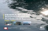 ZEBRA MUSSEL MANAGEMENT STRATEGY fileThe Zebra Mussel Management Strategy for Northern Ireland Foreword I am pleased to see this positive effort for the control of Zebra Mussels in