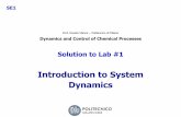 Introduction to System Dynamics - Politecnico di Milanopselab.chem.polimi.it/wp-content/uploads/2017/03/Solution-Lab-01.pdf · © Davide Manca –Dynamics and Control of Chemical