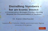 Dwindling Numbers for an Iconic Insect Earth Day... · Dwindling Numbers for an Iconic Insect: A Conservation Biologist Ponders Moving Beyond the Documentation of Declines Dr. Karen
