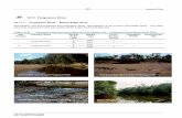 10.11 Fergusson River - Department of Environment and ... · Melaleuca leucadendra Tree 14/4 Melaleuca nervosa Low tree / shrub 14/6 Pandanus aquaticus Tree 14/3, 14/4 Passiflora