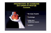 IMPLEMENTATIE ESC GUIDELINES 2013 LIPIDEN IN …cardiologie-leuven.be/wp-content/uploads/2013/03/dyslipidaemie-update-2013.pdf · Viscerale obesitas en lipoproteïnes. 0 25 50 75