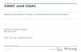 SAOC and USAC - Technische Universität Ilmenau · SAOC and USAC Spatial Audio Object Coding / Unified Speech and Audio Coding Lecture “Audio Coding” WS 2014/15 ... AAC-ELD SAOC-LD:
