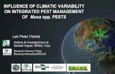 INFLUENCE OF CLIMATIC VARIABILITY ON INTEGRATED PEST ...banana- · PDF fileINFLUENCE OF CLIMATIC VARIABILITY ON INTEGRATED PEST MANAGEMENT OF Musa spp. PESTS Luis Pérez Vicente Instituto