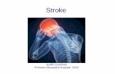 Stroke - caspper.weebly.com · Importance of Stroke • In Australia 2nd greatest cause of death after coronary artery disease • 1/3 die, 1/3 permanent disability • 4.5% of burden