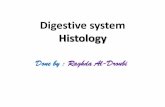 Digestive system Histology - medicinebau.com · • Histology of the wall (4 layers): 1- mucosa -epithelial lining -Lamina propria (CT , blood vessels , lymphatic , gland , layer