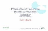 Pneumococcus Pneumonia Disease & Prevention · Sinusitis CSF leakage Meningitis Otitis media Nasopharynx colonisation Pneumoniae Breach of phagocytic defences Breach of mucociliary