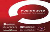 To do: 050102 - acfta.caacfta.ca/data/documents/Fusion-2030-Roadmap-for-Canada.pdf · Fusion 2030: Roadmap for Canada iv IFE, a distinctly different approach from MFE, began theoretical