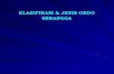 KLASIFIKASI & JENIS ORDO SERANGGArisnawati.staff.gunadarma.ac.id/Downloads/files/54873/Risna_Klasifikasi+Serangga.pdf · •Pemakan organisme lain (predacius). •AM menggigit. •Mata