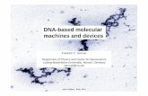 DNA-based molecular machines and deviceschong/290N-W06/dna-slides.pdf · Nanoroadmap, Rome 2004 1 DNA-based molecular machines and devices Friedrich C. Simmel Department of Physics