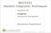 BIOT221 SN10 Lecture ImagingUltrasound · Imaging Ultrasound Sonography ... Pelvis Uterus Uterine tumour, fibroids, hydatiform mole, ... hematocele ( blood in the scrotum), ...