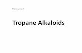 Tropane Alkaloids - suli-pharma.com Alkaloid + reagent in porcelain dish and heat on boiling water path → Intense Red Colour → Cherry Red after cooling. •Gerrard’s test: Alkaloid