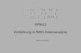 SPM12 Einführung in fMRI-Datenanalyse · SPM (Statistical Parametric Mapping) 4. MRT-Datensätze 5. Voxel 6. SPM Installation und Dokumentation, MATLAB- Umgebung 7. Matlab Editor