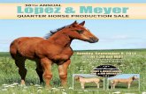 View Catalogue online at  and ... · 1:30 p.m. MDT Sale loCatIoN ... View Catalogue online at  and . ... Superior Heeling Horse PC Dox Gemini Rose
