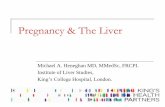 Pregnancy & The Liver - eventospr.com.br · Hyperemesis Gravidarum ... Clinical Presentation Microvescicular fat in affected organs Third trimester More common in first or twin pregnancies