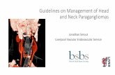 Guidelines on Management of Head and Neck Paragangliomas · Liverpool Vascular Endovascular Service. Parganglionomas (ata) •Derived from the embryonic neural crest (neuroendocrine