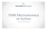 TMR Mechanism(s) of Action - CryoLife Mechanism(s) of Action Physician Training. Transmyocardial Revascularization (TMR) Proposed Mechanism(s) of Action • Increased perfusion of