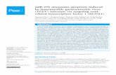 miR-27b attenuates apoptosis induced by transmissible ... · miR-27b may repress the mitochondrial pathway of apoptosis by targeting RUNX1, ... gastroenteritis for pigs of all ages,