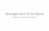 Management of Soil Biota - Welcome | Field Crops of the Soil Biota •Plant Pathogens & Disease •Management Considerations in Relation to Soil Health •General Principles for Managing