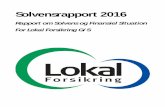 Solvensrapport 2016 - lokal.dk · Der er i 2016 investeret for DKK 1.185 tkr. i udvikling af selskabets IT-systemer. I følgende tabel er Lokal Forsikrings investeringsafkast nærmere