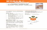 'MiZER$ POLY cru . Citrus Bioflavonoids ... page/HK Training/HK Product Info/Poly_C.pdfeither Poly CTM or ascorbic acid, The Poly CTM gave higher levels of vitamin C in blood serum,