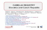 CAMELIA REGISTRY Slovakia and Czech Republiccamelia.registry.cz/res/file/camelia/a1_CAMELIA_results_2013.pdfCharacteristics of CML patients CAMELIA CZ and SK registry in period 2000