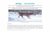 Amur Tiger Conservation in Lazovsky Zapovednik … Fish and Wildlife Service Rhinocerus and Tiger Conservation Fund, Hennig-Olsen ice cream, and the Indianapolis Zoo Conservation Fund.