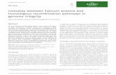 Interplay between Fanconi anemia and homologous ...emboj.embopress.org/content/embojnl/35/9/909.full.pdf · Review Interplay between Fanconi anemia and homologous recombination pathways
