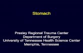 Stomach - pdfs.semanticscholar.orgpdfs.semanticscholar.org/presentation/7d81/7bf5cbaccaab59f3ca590455572fdfd25d... Gastritis Varices Ulcers CA • Duodenum Ulcers Sources • Severe