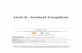 Unit 6: Animal Kingdom - biologyinabox.utk.edubiologyinabox.utk.edu/wp-content/uploads/2017/02/Unit-6-Animal-Kingdom-Workbook.pdf · species known for the Kingdom Animalia, 320,000