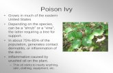 Poison Ivy - quia.com · –Oleander sap can cause dermatitis (similar to poison ivy and oak) –Ingestion can cause a whole host of digestive and nervous system problems. Oleander