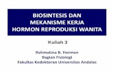 BIOSINTESIS DAN MEKANISME KERJA HORMON REPRODUKSI . Biosintesis dan Mekanisme Kerja...  BIOSINTESIS