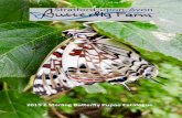 2019 £ Sterling Butterfly Pupae Catalogue the Butterfly Keeper January 2019 2019 Butterfly Pupae Supplies