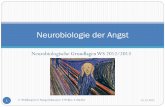 Neurobiologie der Angst - LMU München · Epilepsie! • bei Epilepsie: Viszerale und emotionale Angstreaktion (Aura) • bei Panikattacke: Muskelverkrampfungen . EEG-Veränderungen