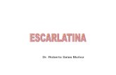 Dr. Roberto Salas Muñoz - saludarequipa.gob.pesaludarequipa.gob.pe/epidemiologia/doc_interes/ESCARLATINA dr salas.pdf · Etiología de la faringitis aguda en niños Escarlatina.