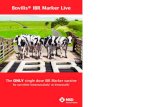 Bovilis® IBR Marker Live - MSD Animal Health · Advance of infection 3 4 Bovilis IBR Marker Live offers you the choice of I/M or I/N routes 1 enabling you to break the cycle with