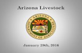 Arizona Livestock - d1cqrq366w3ike.cloudfront.net · Arizona Livestock Auction and JBS Five Rivers • Commuter herd agreement –for cattle moving across state lines between 2 premises