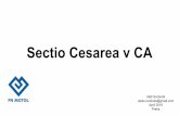 Sectio Cesarea v CA - akutne.cz · Sectio je odvozeno od seco, což znamená řezati, tedy obdobný význam jako caesares. Termín sectio caesarea je tedy tautologický, obsahující