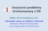 Současné problémy trichomonózy v ČR - infekce-gp.cz · Trichomonas vaginalis v poševních sekretech pohybuje do 3 % z počtu vyšetřovaných •Specifická nemocnost je mezi