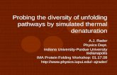 Probing the diversity of unfolding pathways by simulated ... · Probing the diversity of unfolding pathways by simulated thermal denaturation A.J. Rader Physics Dept. Indiana University-Purdue