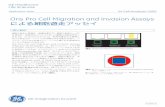 Oris Pro Cell Migration and Invasion Assays … Note 2 サンプルおよび試薬 The Oris Pro Cell Migration and Invasion Assays (Platypus Technologies) Human umbilical vein endothelial