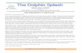 Chartered: 3 Newsletter for the Dolphin …dolphinclub.com/uploads/2462/Dolphin_Splash_-_Newsletter...The Dolphin Splash—Page 7 GOOD SAM RALLY - ARIZONA AT THE GOOD SAM RALLY SPONSORED