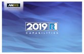 ANSYS 2019 R1 Capabilities · 1 = ANSYS nCode DesignLife Products 2 = ANSYS Fluent 3 = ANSYS DesignXplorer 4 = ANSYS SpaceClaim 5 = ANSYS Customization Suite (ACS) 6 = ANSYS HPC,