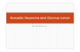 Acoustic Neuroma and Glomus tumor - gmch.gov.in lectures/ENT/acoustic neuroma and glomus tumor .pdf 