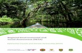 Regional Environmental and Social Assessment (RESA) · ToR Terms of Reference ... UKL-UPL Upaya Pengelolaan Lingkungan – Upaya Pemantauan Lingkungan (Environmental Management and